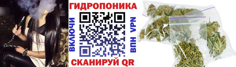 Где можно купить наркотики Балахна ГАШ МЕТАМФЕТАМИН Мефедрон