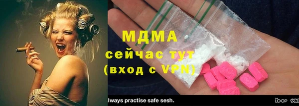 индика Алексин