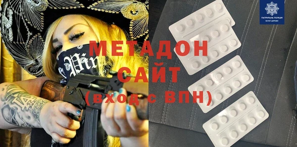 индика Алексин