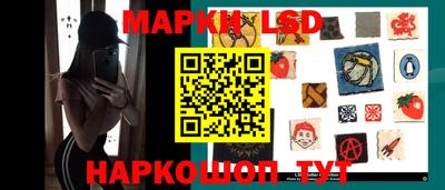 дмт Аргун