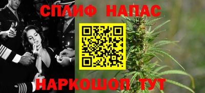 дмт Аргун