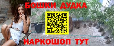 дмт Аргун