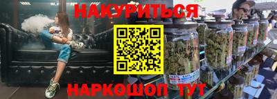 дмт Аргун