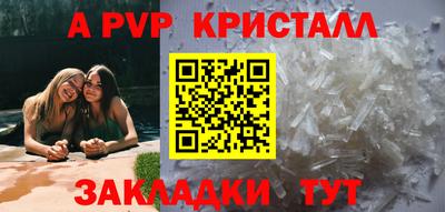 дмт Аргун