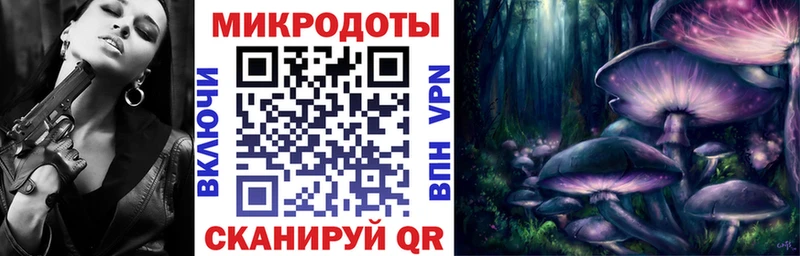 гидра   Балахна  Псилоцибиновые грибы прущие грибы 