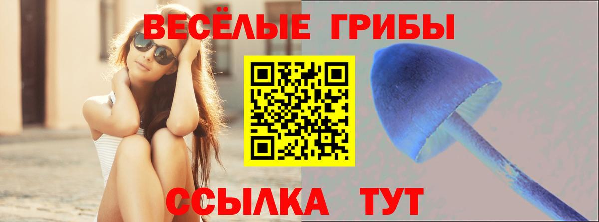 Псилоцибиновые грибы мухоморы  Вход с VPN  Балахна 